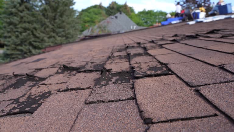 Best Gutter Installation and Repair  in Washington Court House, OH